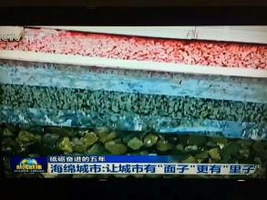中央电视1台新闻频道报道